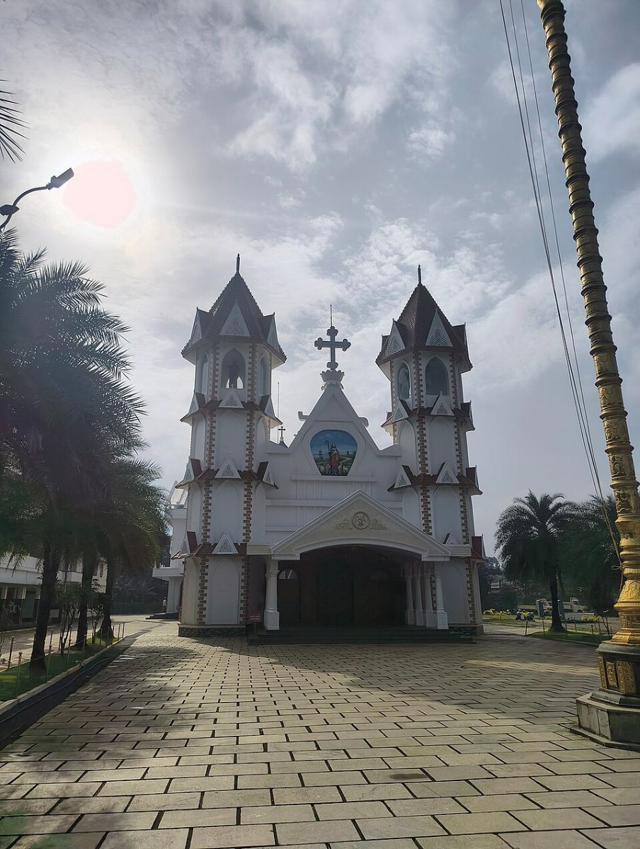 Gallery image 11